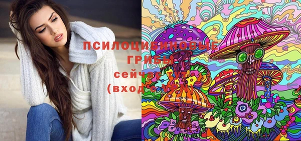 мескалин Горно-Алтайск
