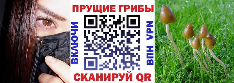 Купить  Лангепас  Галлюциногенные грибы мухоморы 